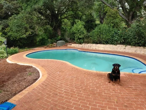 Pool Pro