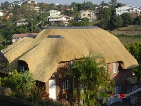 Thatch Master