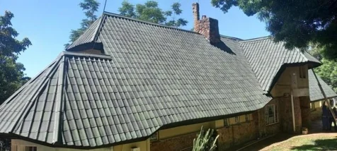 Thatch Master