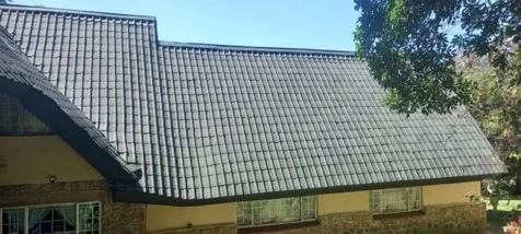 Thatch Master
