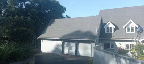 Thatch Master