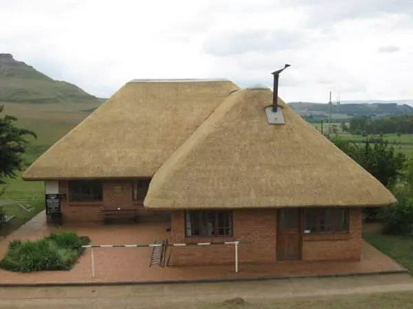 Thatch Master