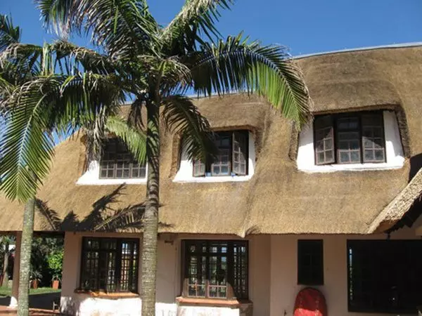 Thatch Master