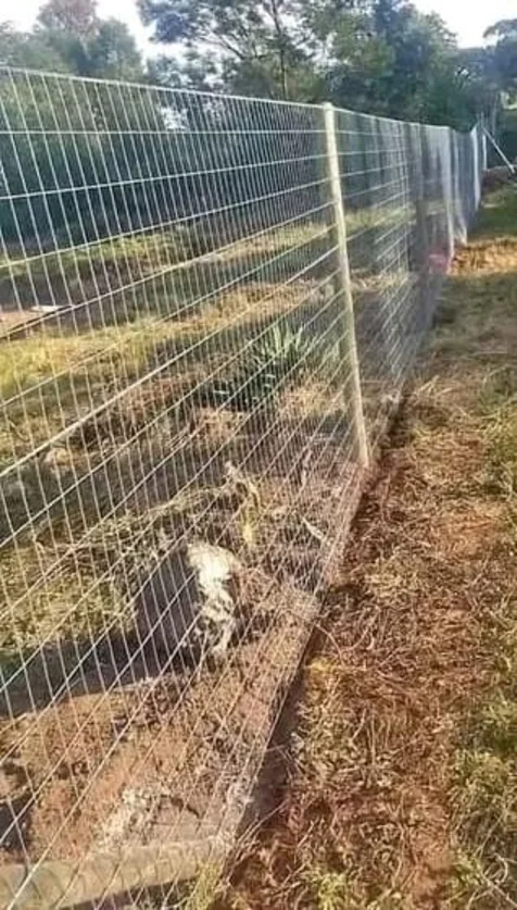 Fencing Solutions